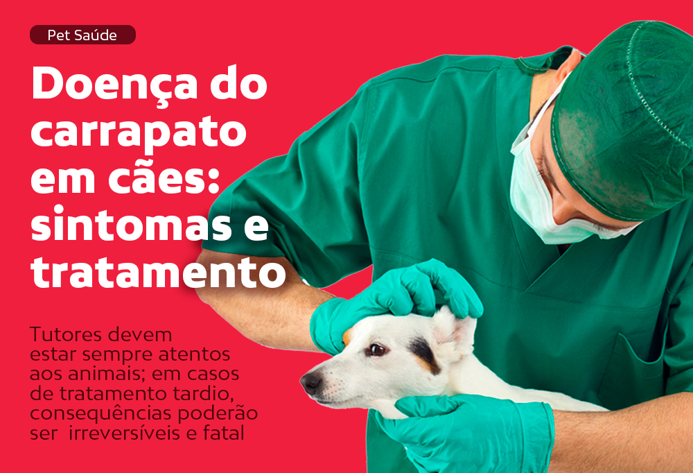 Doença Do Carrapato Em Cães Sintomas E Tratamento Revista My Pet