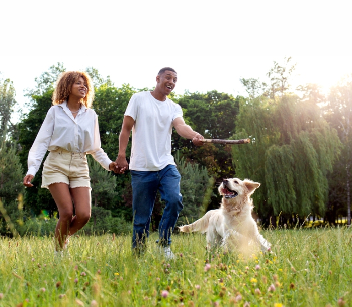 Superar a Perda de um Cão ou Gato: Estratégias de Cura Emocional